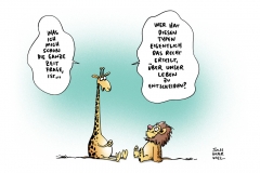 schwarwel-karikatur-giraffe-tod-zoo-loewe