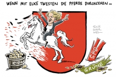 Regierungskrise in Niedersachsen: Grüne wechselt zu CDU – Elke Twesten: Ich bin keine Verräterin