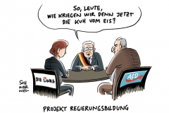 Projekt Regierungsbildung: Steinmeier redet auch mit Linke und AfD