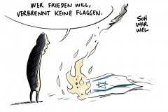 Bundesregierung zu Verbrennungen israelischer Flaggen: "Man muss sich schämen“