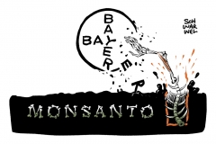 Nach Krebsurteil Börsenwert in Milliardenhöhe vernichtet: Monsanto-Schock für Bayer