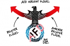 Machtkampf in der AfD: Beobachter sehen Übernahme der Partei durch die rechtsradikale Gruppe