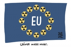 Entscheidung der EU-Kommission: Grüner Stempel für Atom und Gas