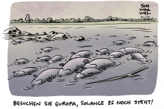 Fischsterben in Oder bedroht Ostsee: Polens Umweltschützer kritisieren Regierung