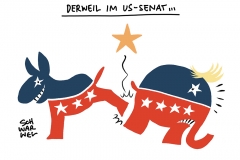 Sieg in Nevada: Demokraten behalten Mehrheit im US-Senat