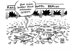 1500 tote Fische auf Berlins Straßen: Großaquarium in Hotel geplatzt