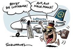 Run auf die Balearen: Lufthansa profitiert vom Buchungsboom nach Mallorca