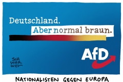 AfD-Bundesparteitag: Mehrheit der Delegierten für EU-Austritt Deutschlands