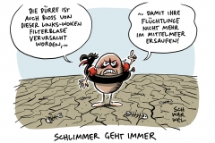 Klimaforscher über Trockenheit: „Unwahrscheinlich, dass sich die Dürre über die Sommermonate auflösen wird““