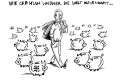 Haushaltsentwurf im Bundestag: Christian Lindners umstrittene Finanzpläne