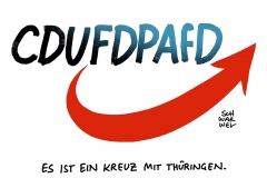 Brandmauer CDU FDP AFD
