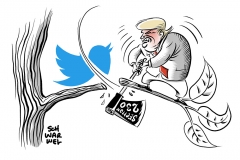 Erlass zu sozialen Medien schadet ganzem Netz: Kritik an Trumps Twitter-Rachefeldzug