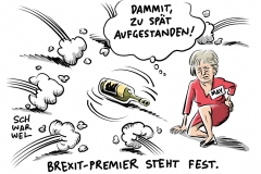 karikatur-schwarwel-brexit-premier-cameron-theresa-may-leadsom