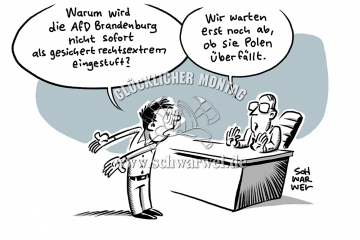 AfD in Brandenburg: Gesichert rechtsextrem – aber erst nach Bundestagswahl